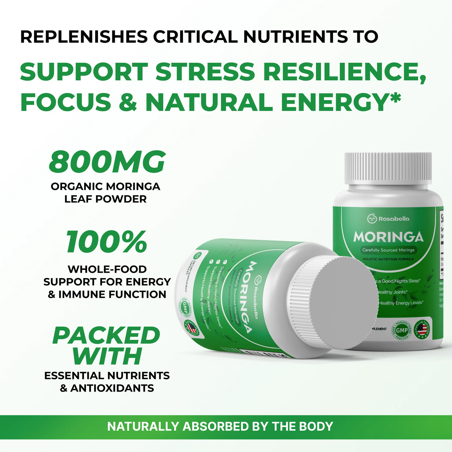 Moringa 100% Pura Rosabella – Bienestar Natural Para Tu Día