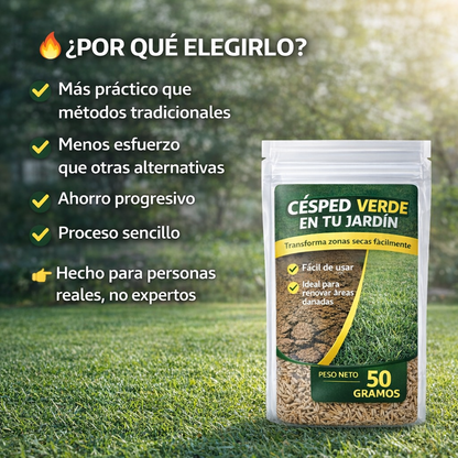 🌱 Semillas de Césped para Jardín 50g – Mejora el Aspecto de tu Patio Fácilmente