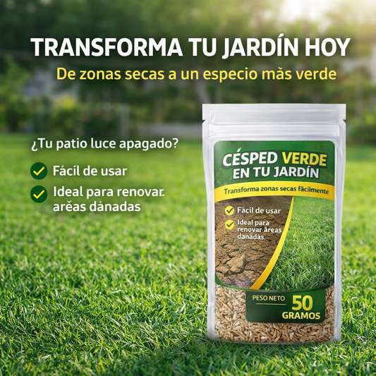 🌱 Semillas de Césped para Jardín 50g – Mejora el Aspecto de tu Patio Fácilmente