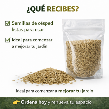 Semilla Premium Cesped  🌱 Renueva Tu Jardín Fácilmente y Dale Vida a Tu Espacio Exterior