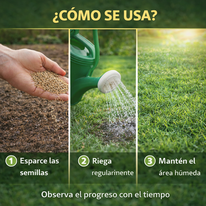 Semilla Premium Cesped  🌱 Renueva Tu Jardín Fácilmente y Dale Vida a Tu Espacio Exterior