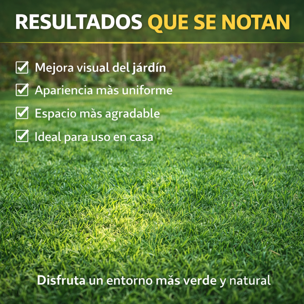 Semilla Premium Cesped  🌱 Renueva Tu Jardín Fácilmente y Dale Vida a Tu Espacio Exterior