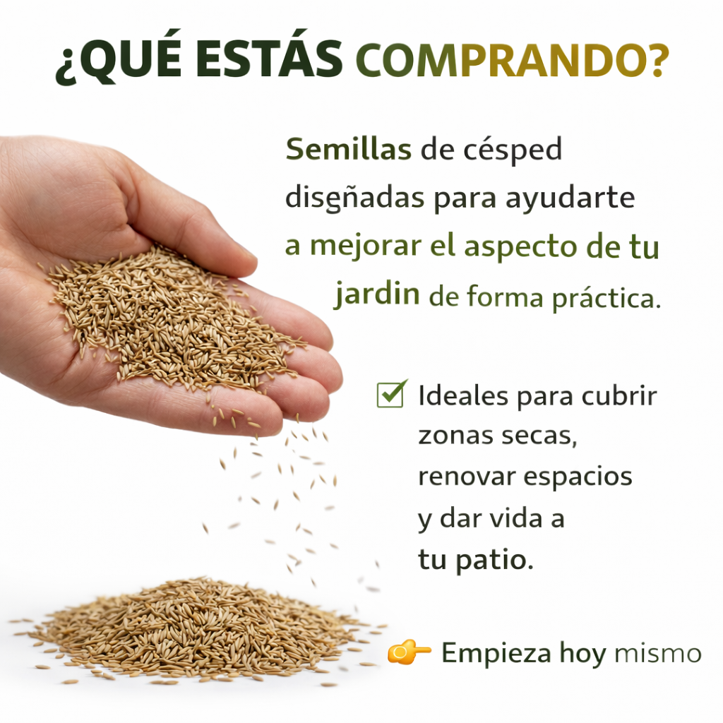 Semilla Premium Cesped  🌱 Renueva Tu Jardín Fácilmente y Dale Vida a Tu Espacio Exterior
