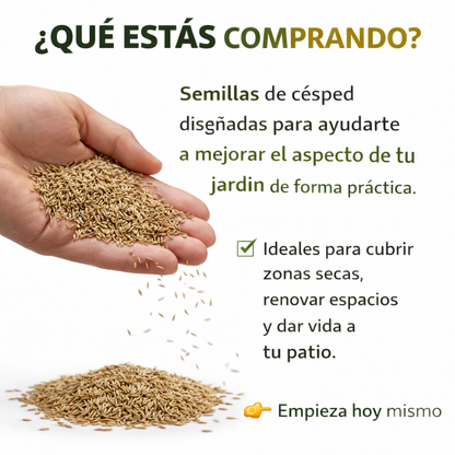 Semilla Premium Cesped  🌱 Renueva Tu Jardín Fácilmente y Dale Vida a Tu Espacio Exterior