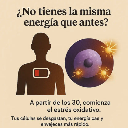 RYZE Mushroom Coffee – Energía Más Estable, Sin Los Bajones Del Café Tradicional