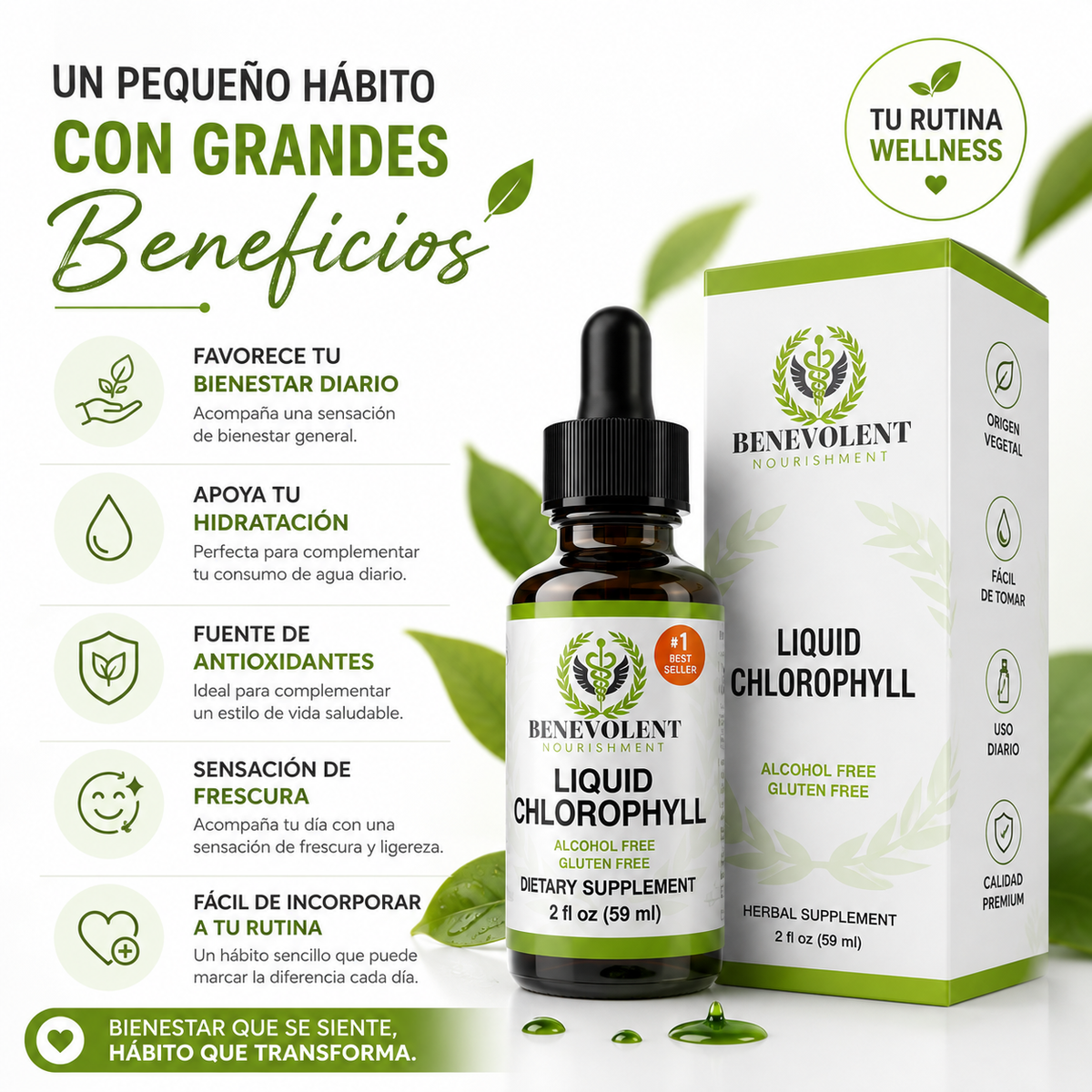 GOTAS DE CLOROFILA 30 ML + REGALO