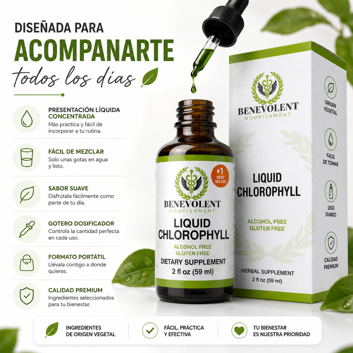 GOTAS DE CLOROFILA 30 ML + REGALO