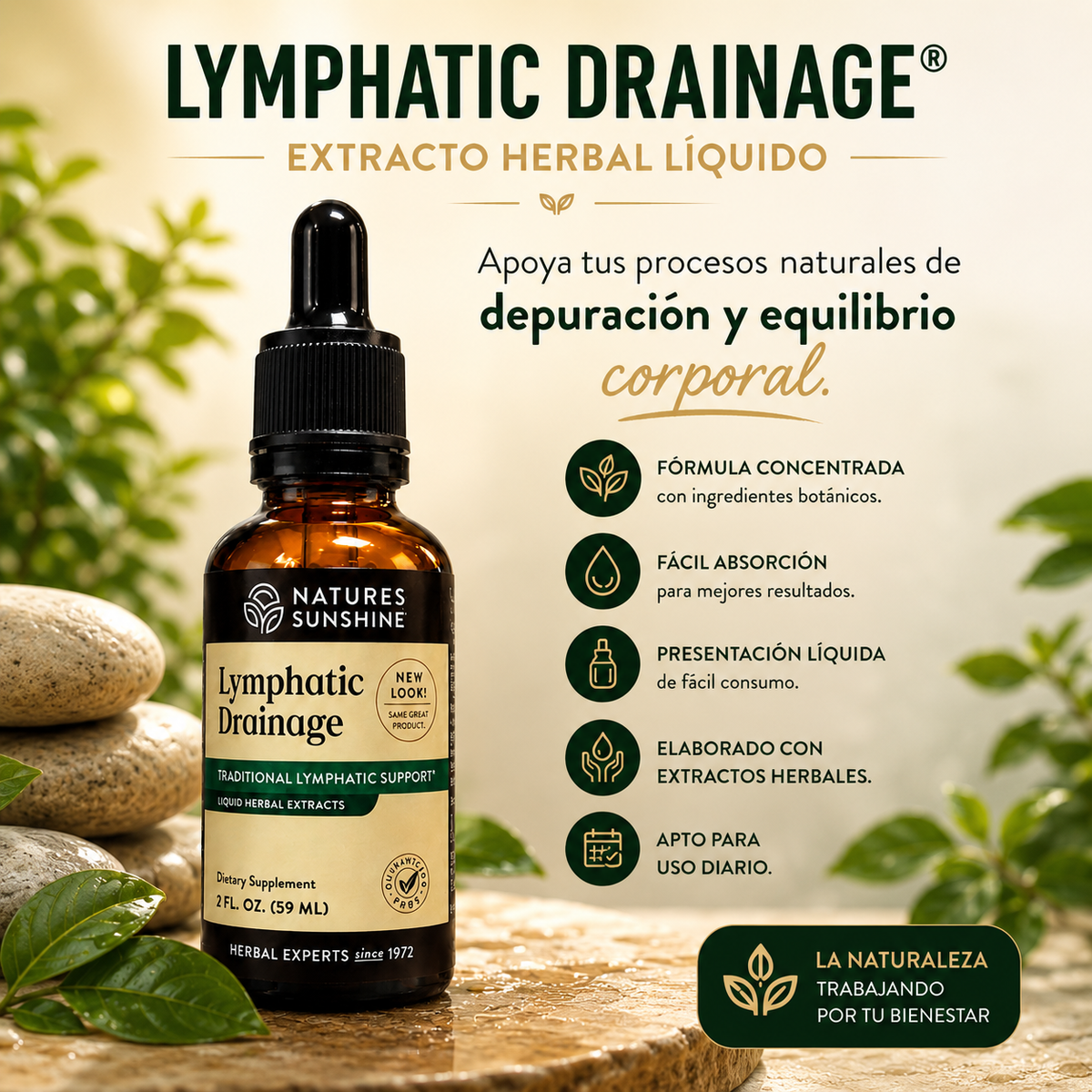 Lymphatic Drainage™ Dale a tu rutina un impulso natural de bienestar
