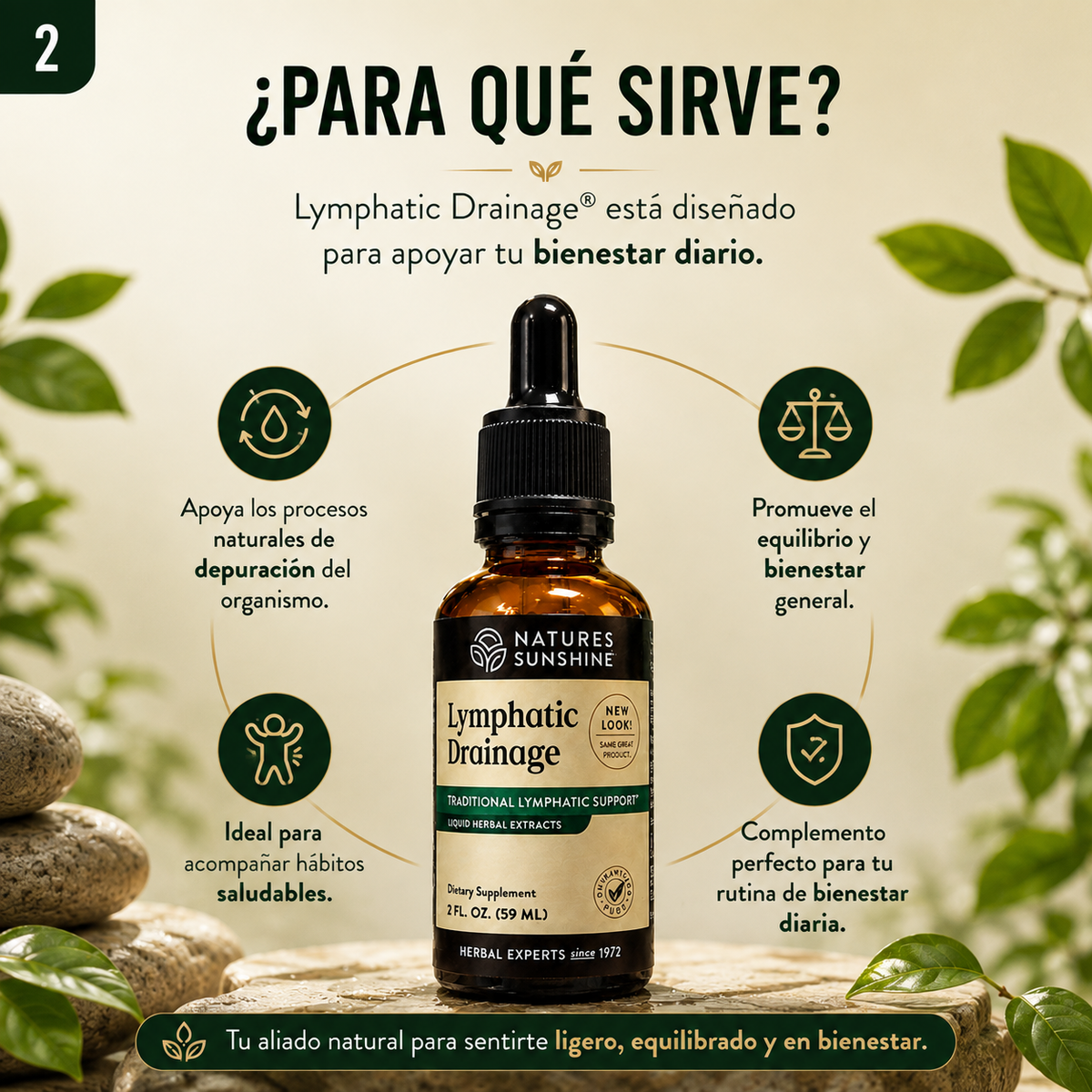 Lymphatic Drainage™ Dale a tu rutina un impulso natural de bienestar