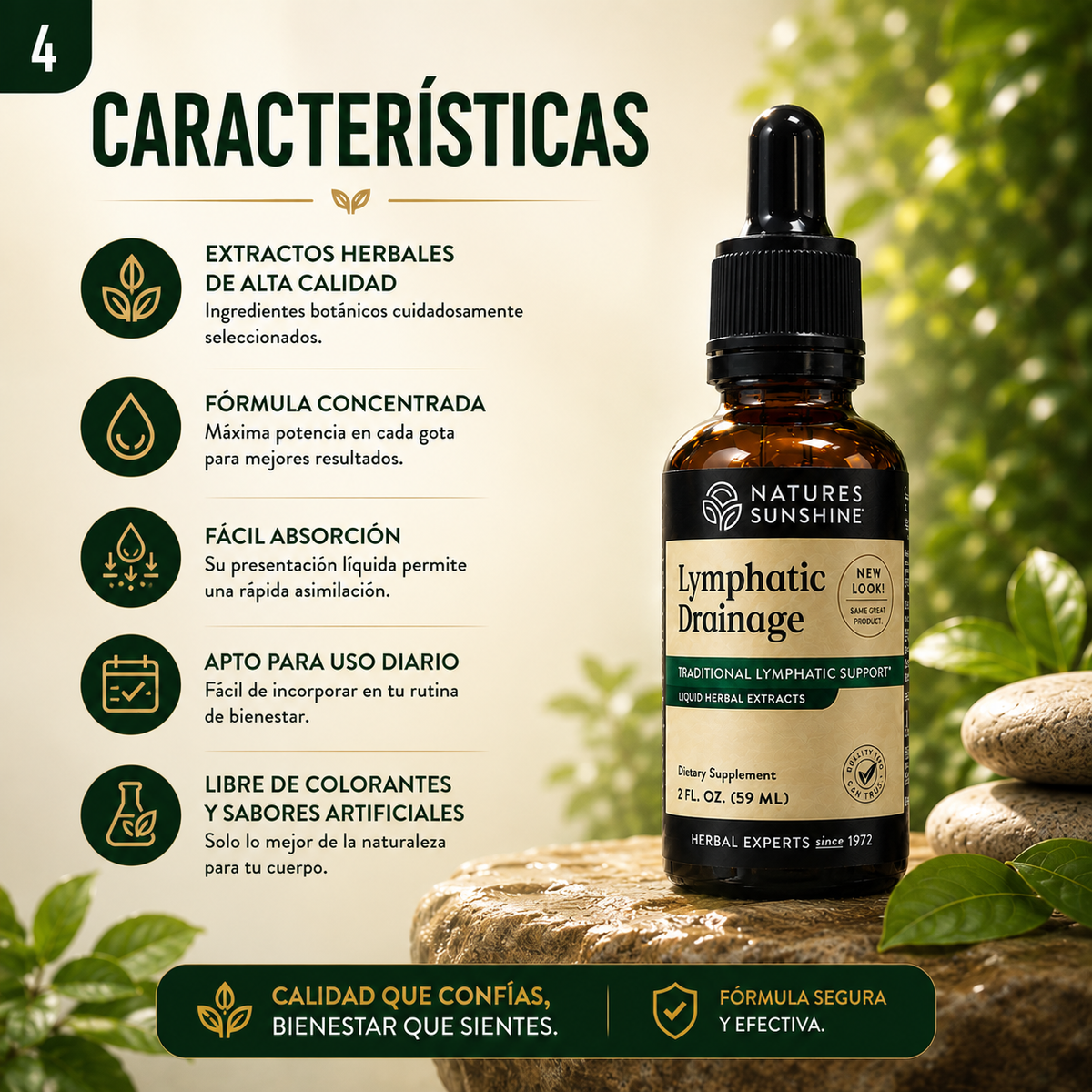 Lymphatic Drainage™ Dale a tu rutina un impulso natural de bienestar