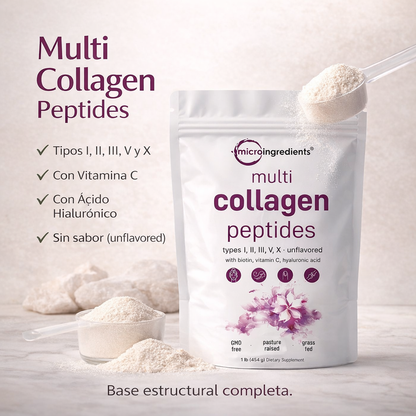 Rutina estructurada de colágeno multi-tipo + antioxidante avanzado